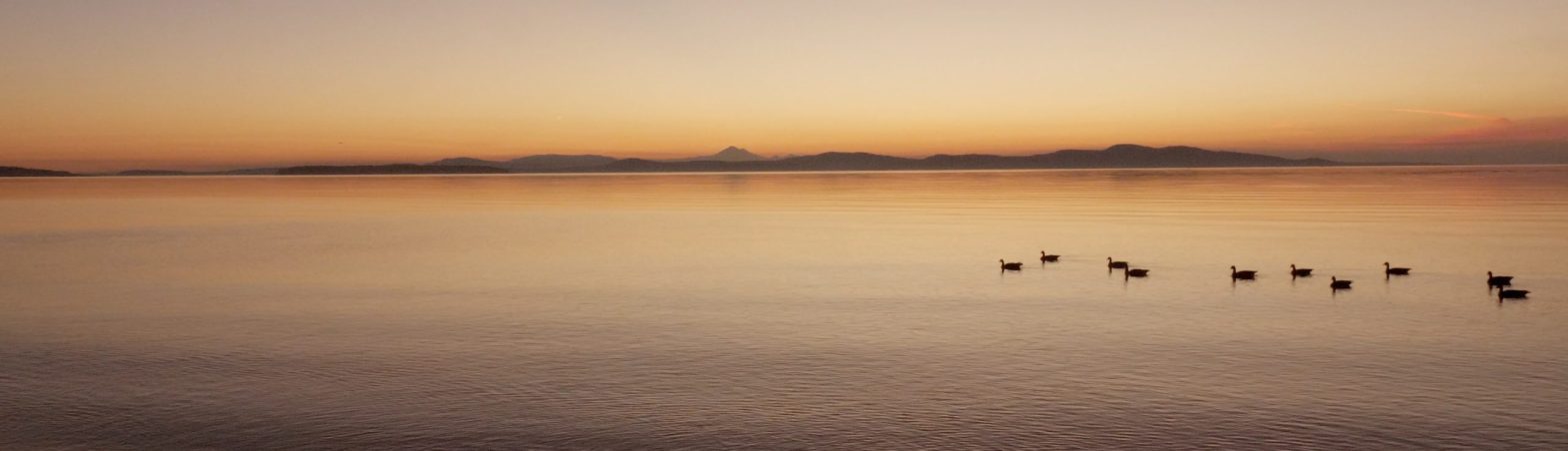 cordova bay victoria sunrise audiotrek