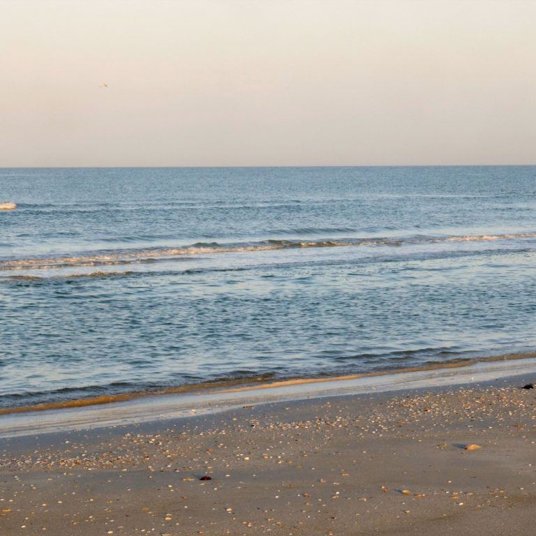 Fort Desoto Morning Beach PC 60 min